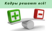 Кадровый аудит для организации и ИП в Беларуси